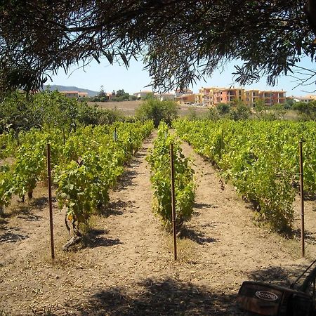 מלון ואלדוריה Agriturismo Crabileddu מראה חיצוני תמונה