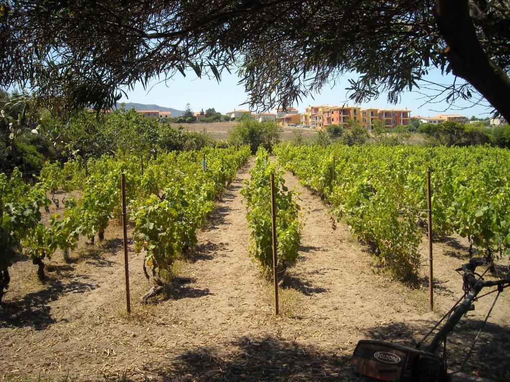 מלון ואלדוריה Agriturismo Crabileddu מראה חיצוני תמונה